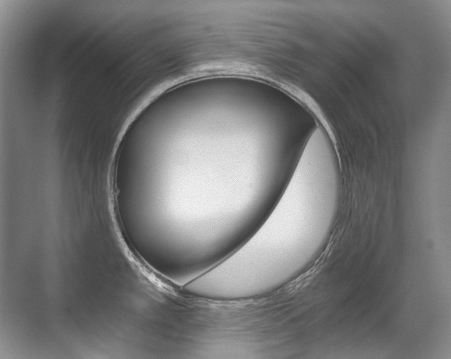 X0000071331389200606230752