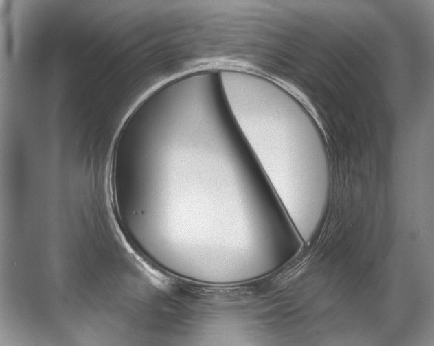 X0000071331391200606230752