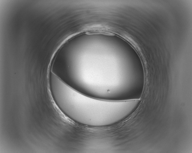 X0000071331392200606230752