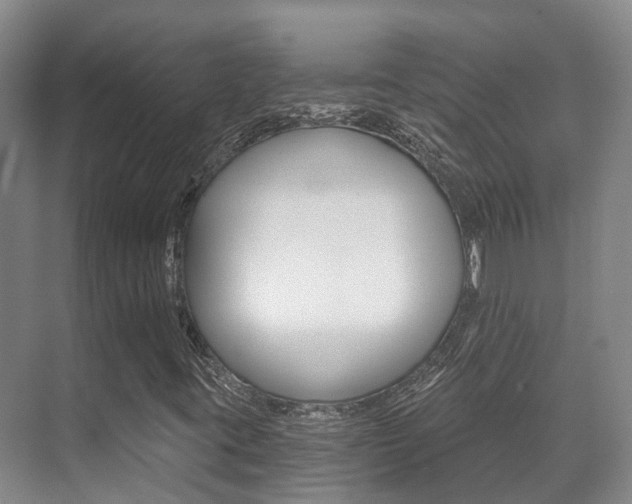 X0000071331395200606230751