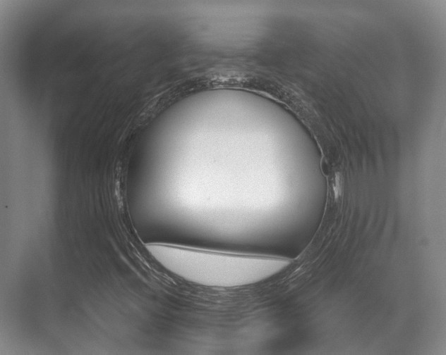 X0000071331396200606230752