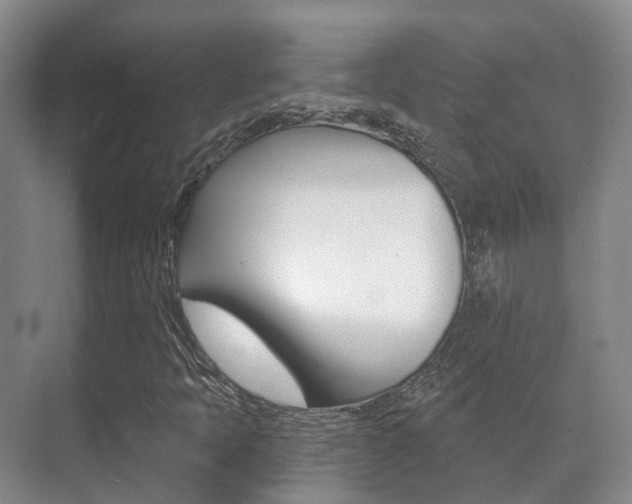 X0000071331397200606230752