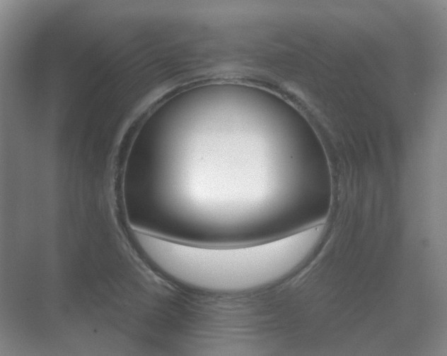X0000071331410200606230752