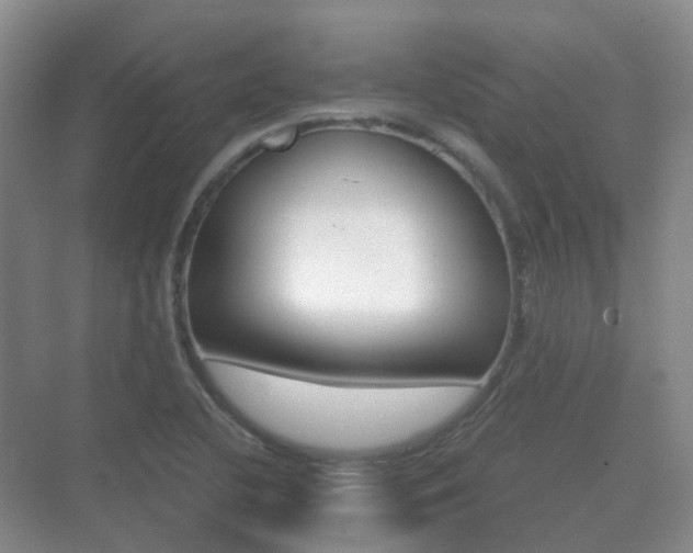X0000071331412200606230752