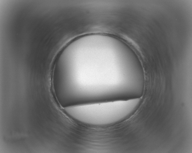 X0000071331415200606230752