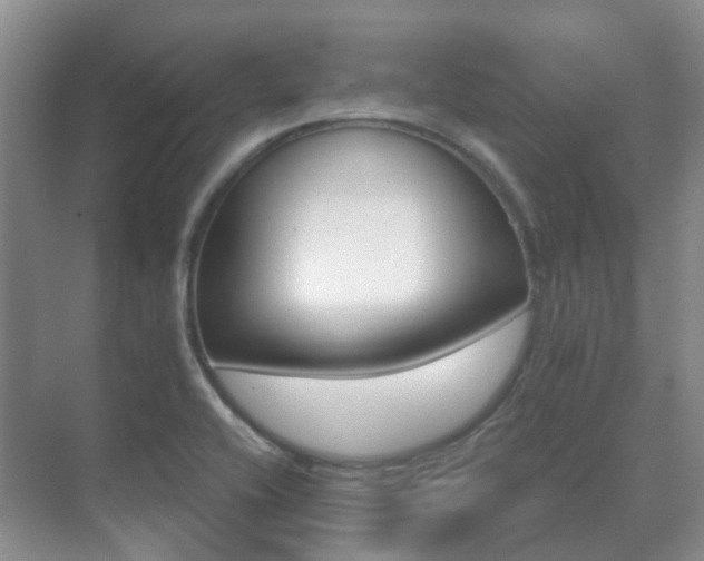 X0000071331416200606230752