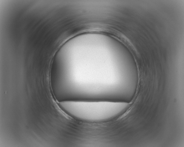 X0000071331417200606230752