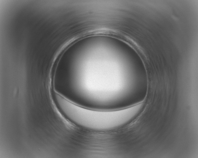 X0000071331418200606230752