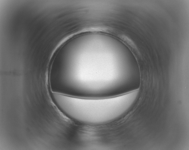 X0000071331420200606230752