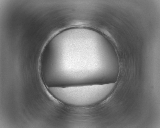 X0000071331421200606230752