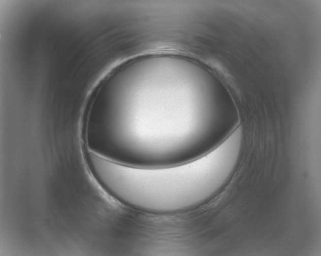 X0000071331422200606230752