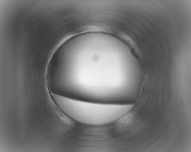 X0000071331427200606230752