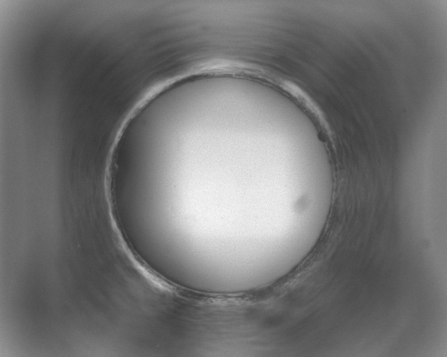 X0000071331429200606230752