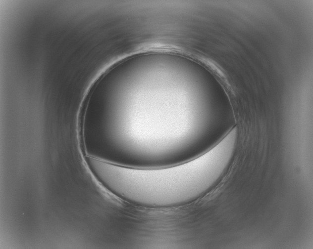 X0000071331430200606230752