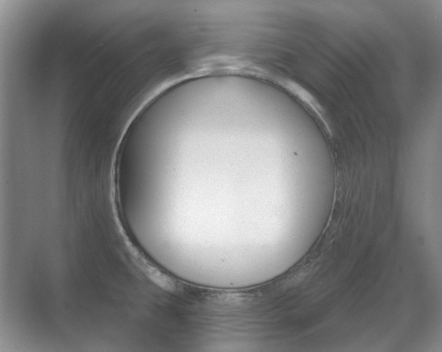 X0000071331431200606230752