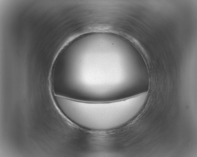 X0000071331432200606230752