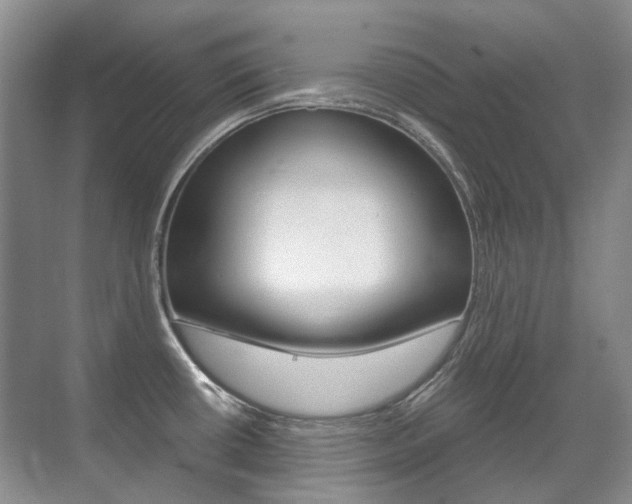 X0000071331434200606230752