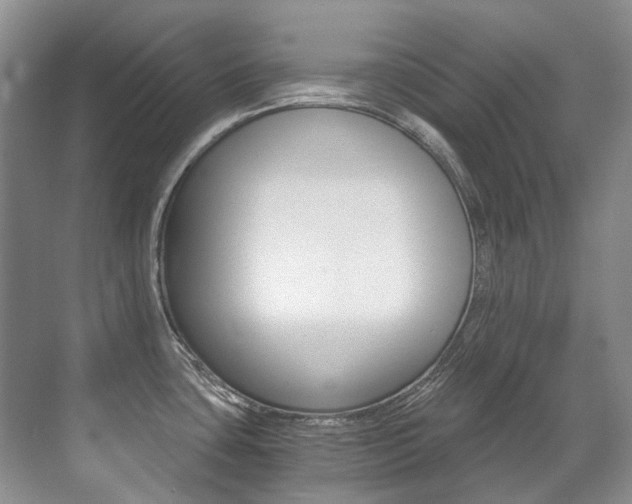 X0000071331435200606230752