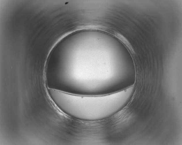 X0000071331436200606230752