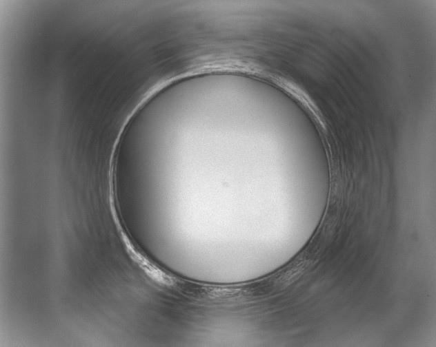 X0000071331439200606230752