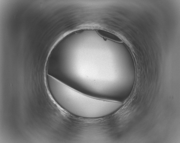 X0000071331440200606230752