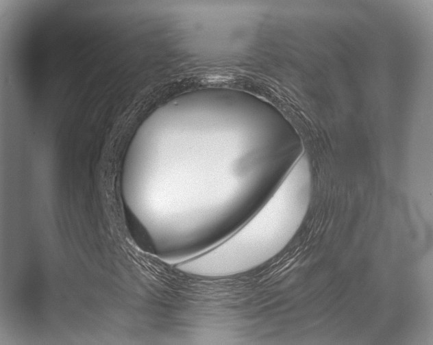 X0000071331441200606230751