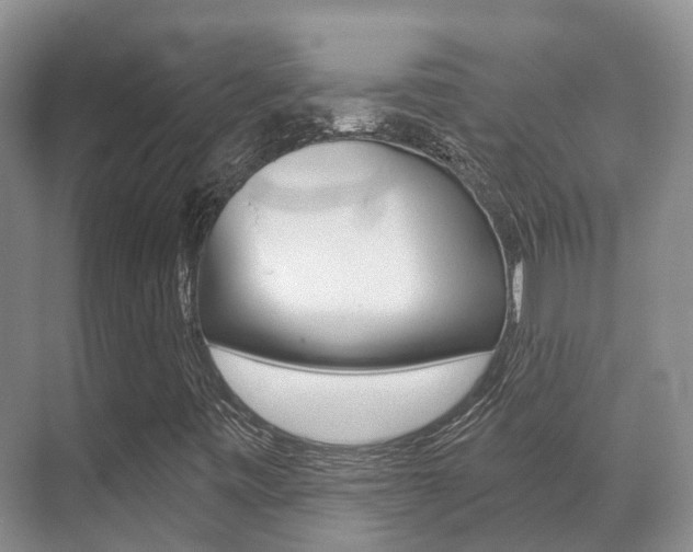 X0000071331443200606230751