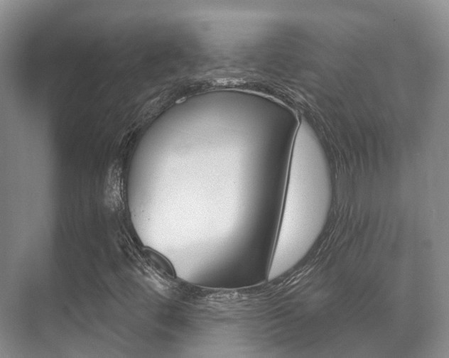 X0000071331444200606230751
