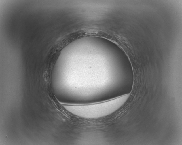 X0000071331445200606230751
