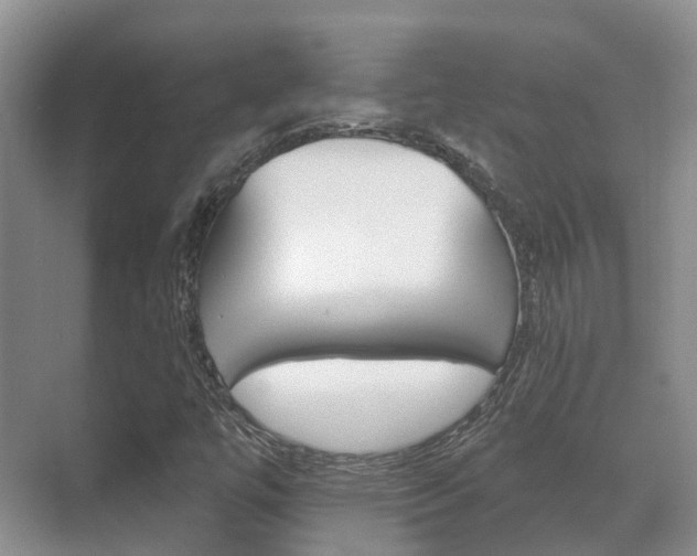 X0000071331447200606230751