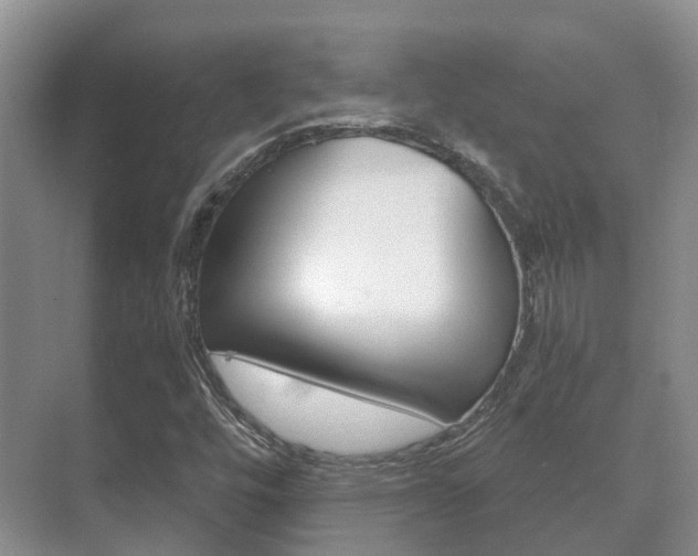 X0000071331448200606230751