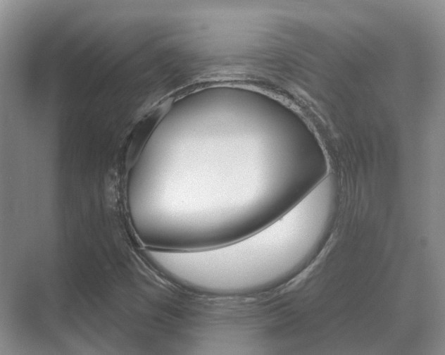 X0000071331449200606230751