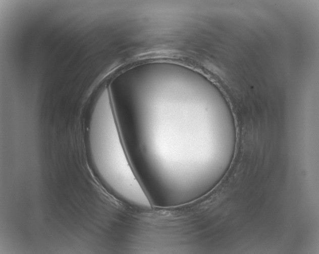 X0000071331450200606230751