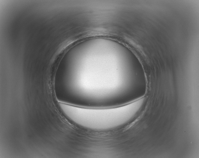 X0000071331453200606230751