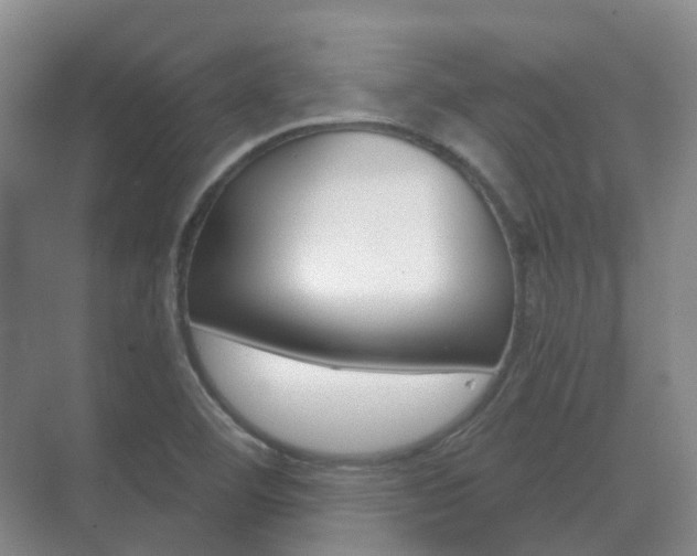 X0000071331460200606230751