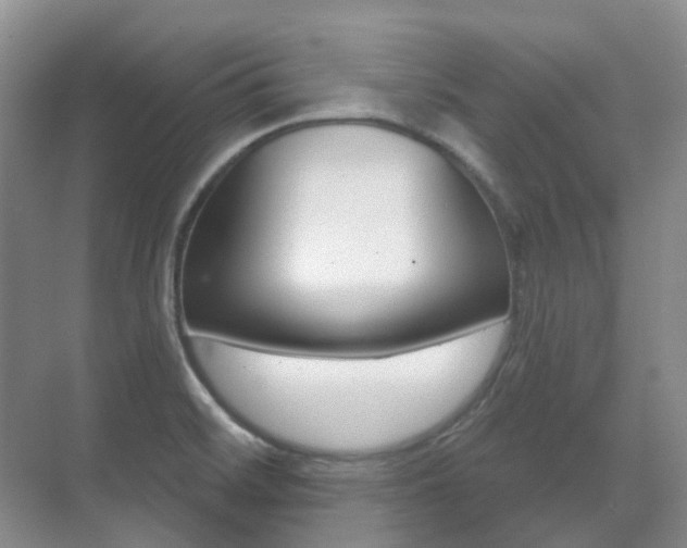 X0000071331468200606230751