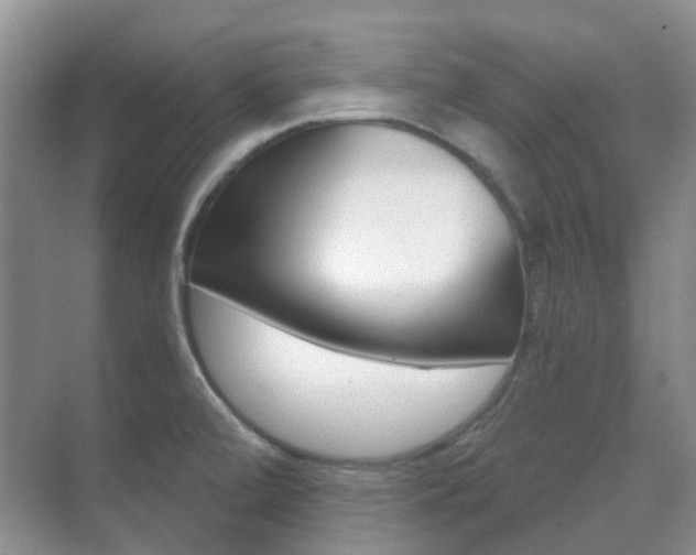 X0000071331472200606230751