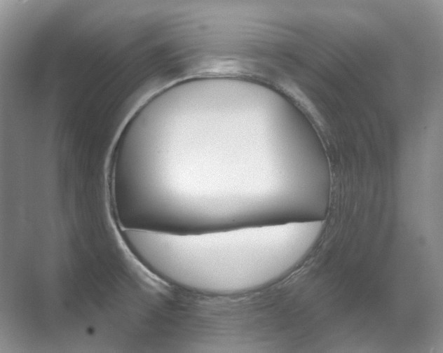 X0000071331475200606230751