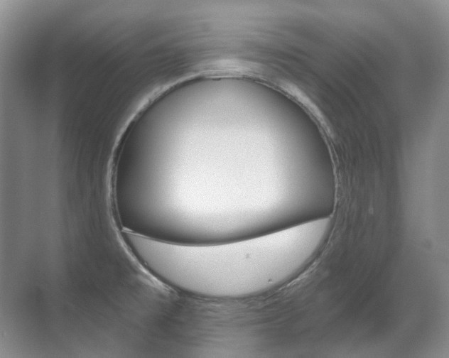 X0000071331477200606230751