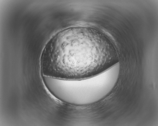 X0000071331479200606230751