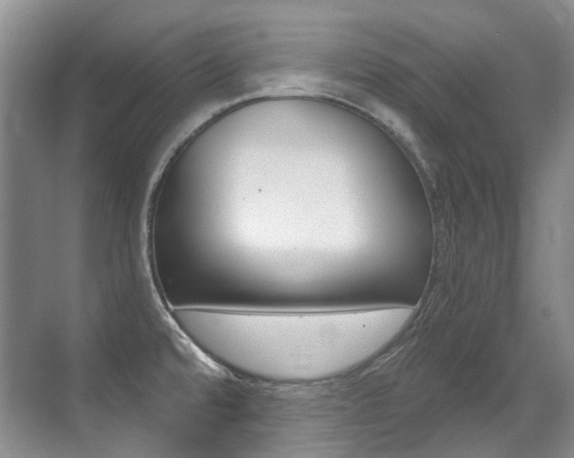 X0000071331480200606230751