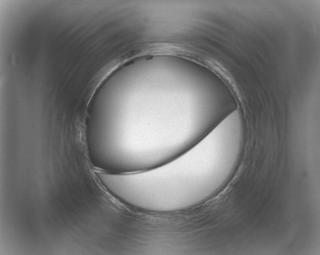X0000071331481200606230751