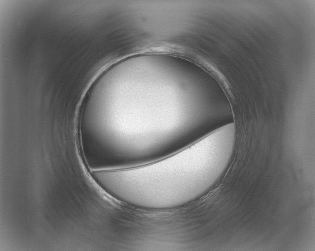 X0000071331483200606230751