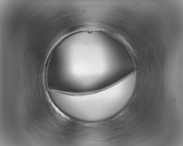 X0000071331484200606230751