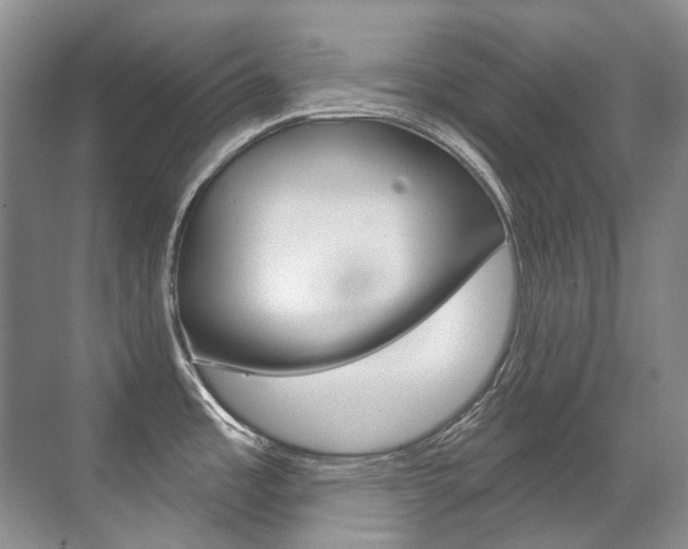 X0000071331485200606230751