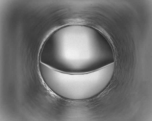 X0000071331488200606230751