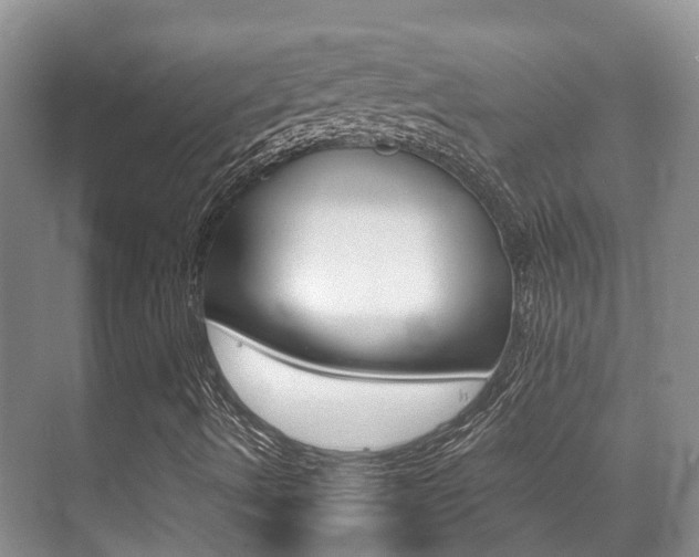 X0000071331490200606230750