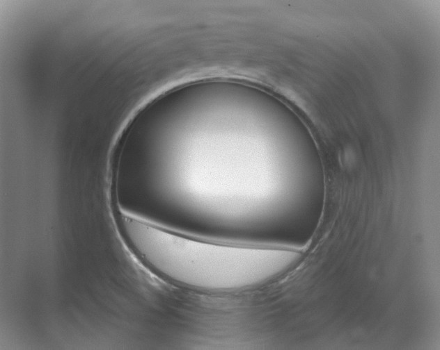 X0000071331508200606230750