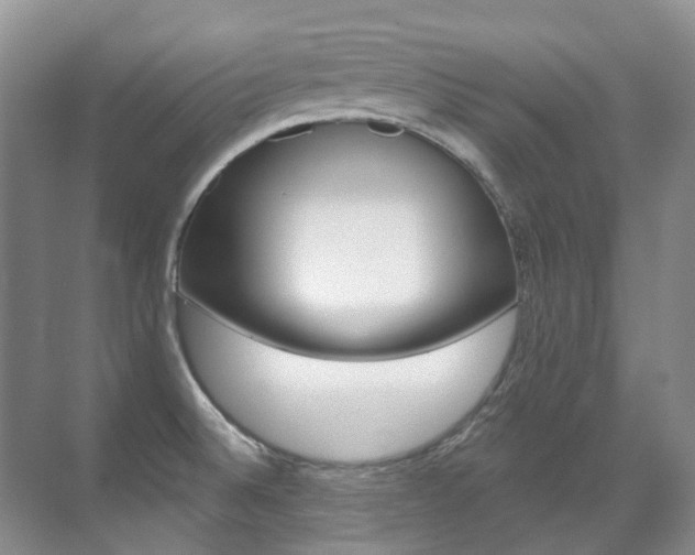 X0000071331524200606230750