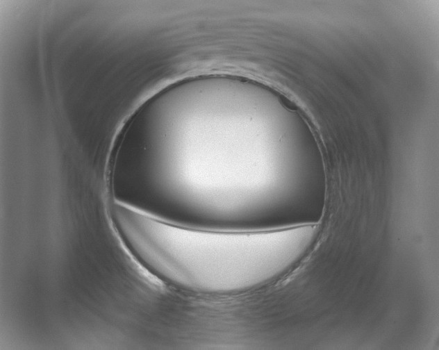 X0000071331525200606230750